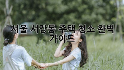 서울 서강동 주택 청소 완벽 가이드